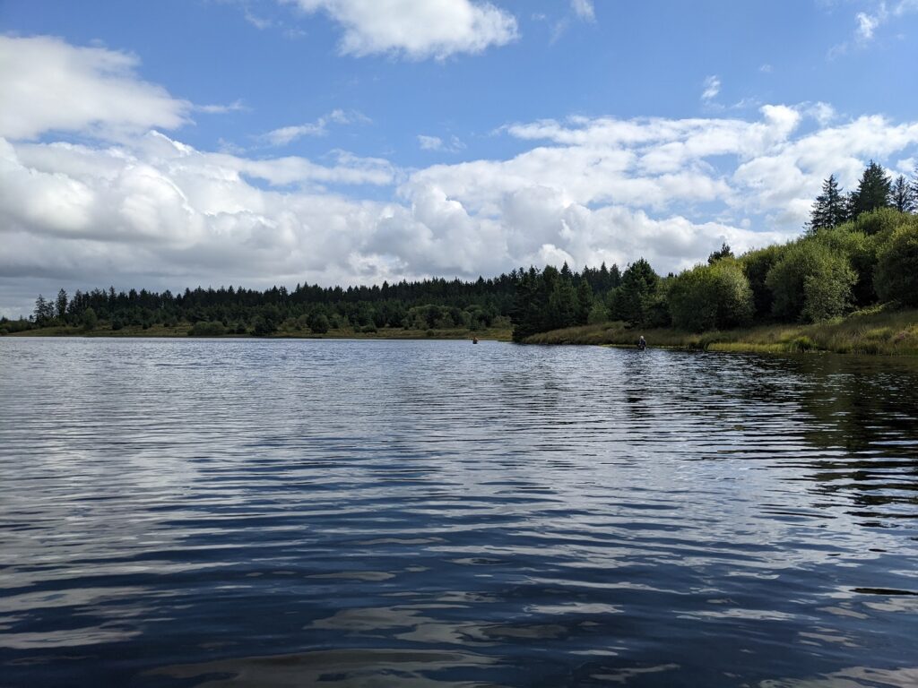 llyn berwyn fishing