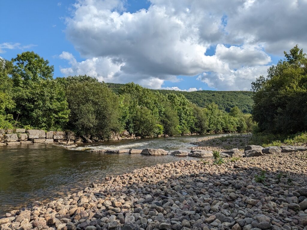 river tawe fishing