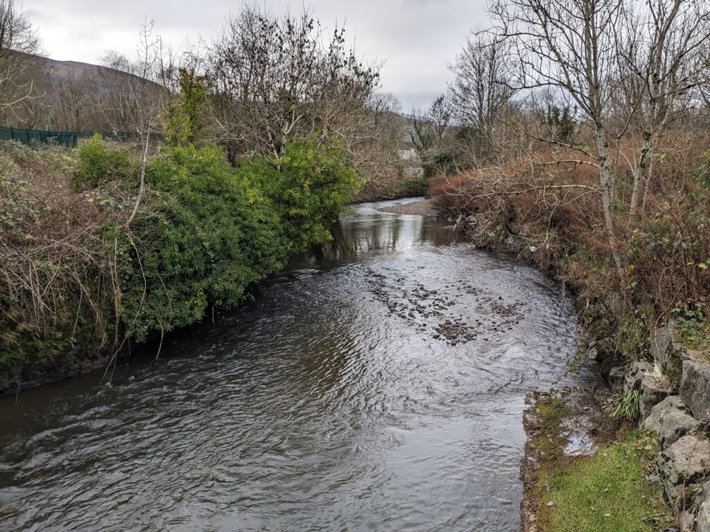 river cynon fishing wales