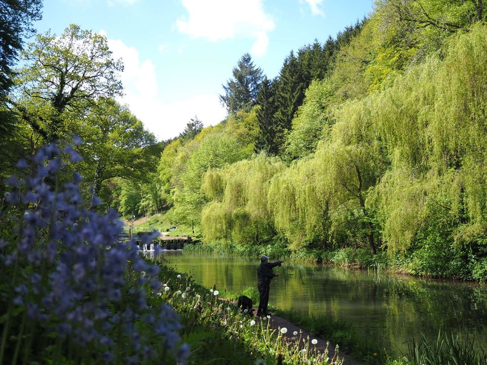 Ravensnest trout fishery