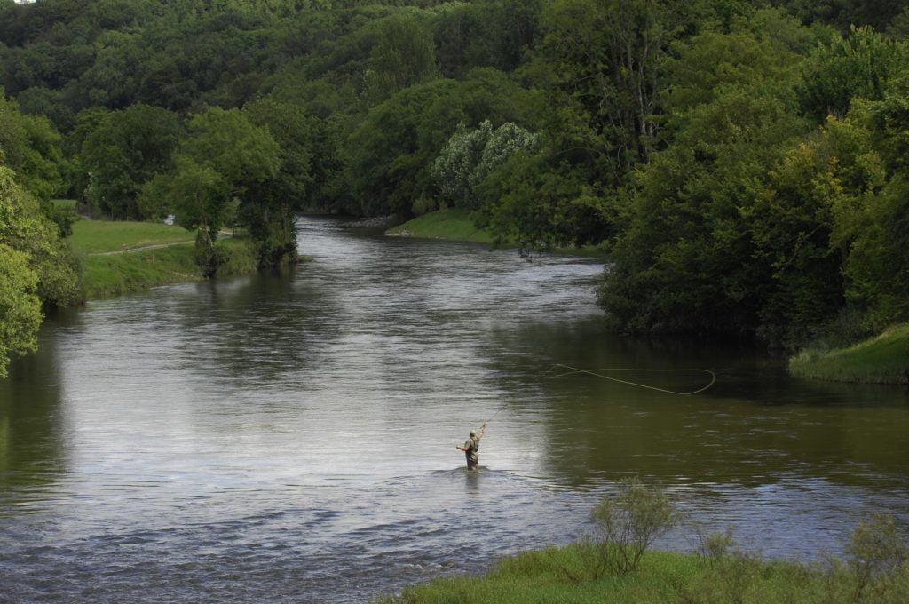 River Towy fishing Abercothi