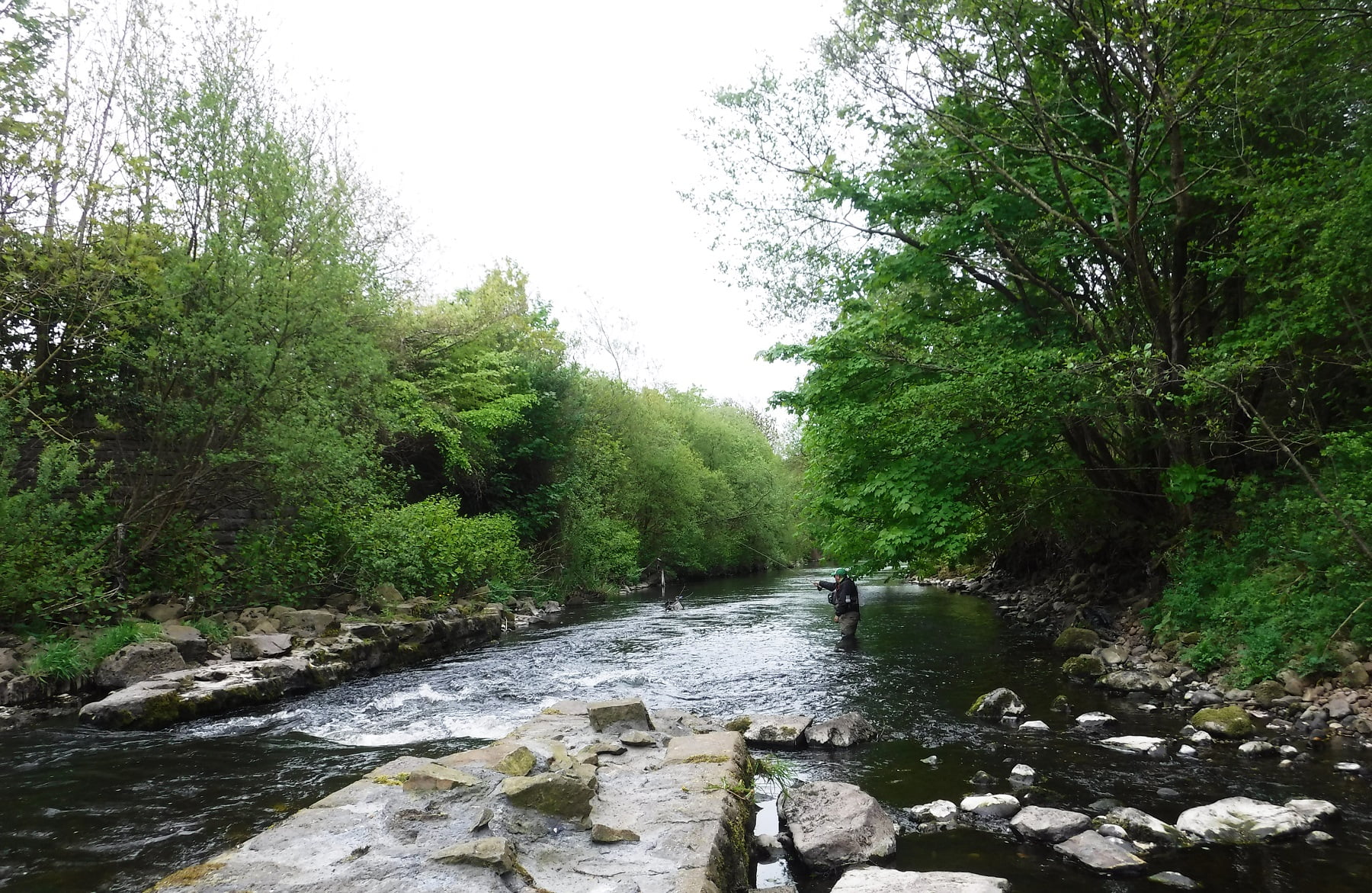 River taff fly fishing