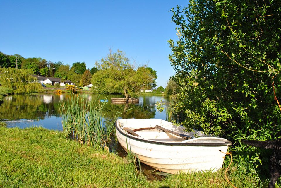 Tan y mynydd fishery