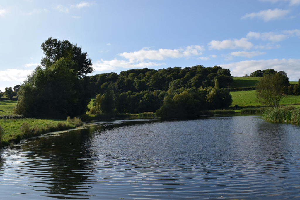 Wal goch fishery