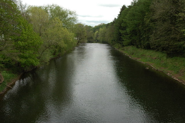 The Fishing Passport: River Usk (Chainbridge) - Fishing in Wales