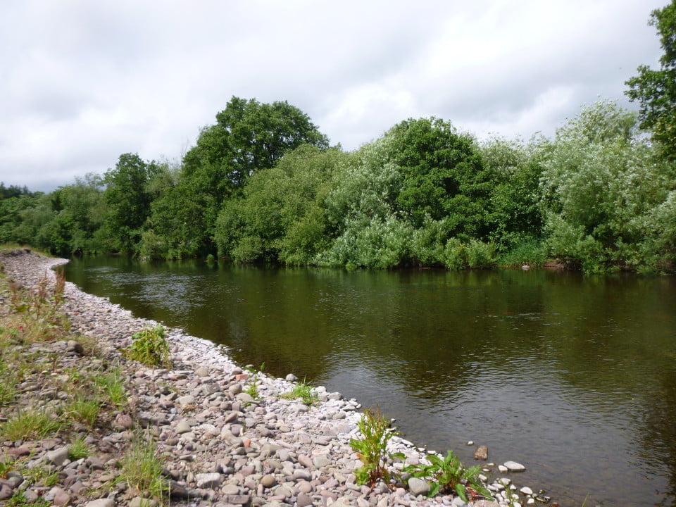 The Fishing Passport: River Usk (Dinas) - Fishing in Wales