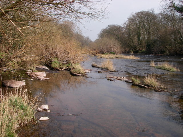 The Fishing Passport: River Usk (Fenni Fach) - Fishing in Wales