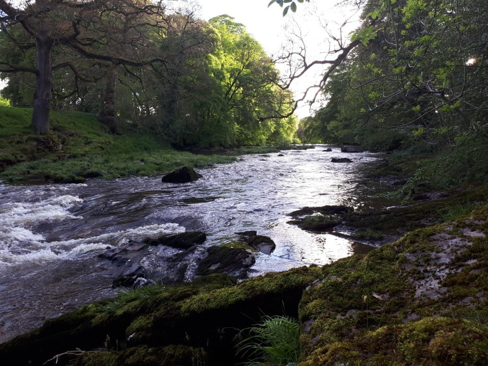 The Fishing Passport: River Usk (Trallong & Abercamlais) - Fishing in Wales