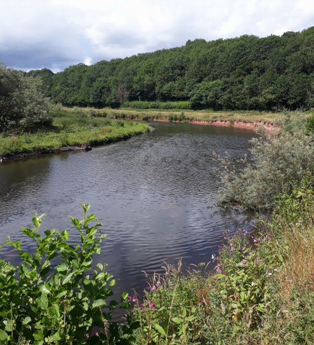 The Fishing Passport: River Usk (Upper Tower) - Fishing in Wales