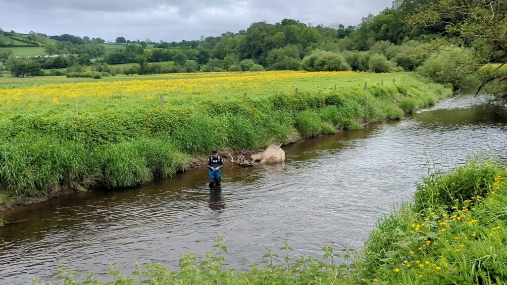 abergwili angling club river gwili