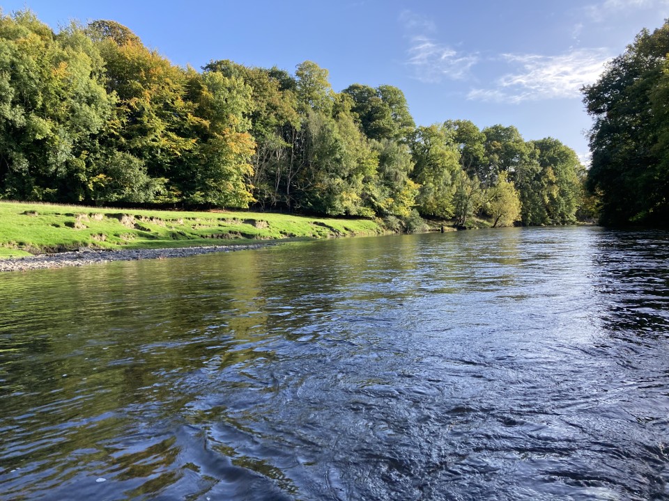 abernant river wye