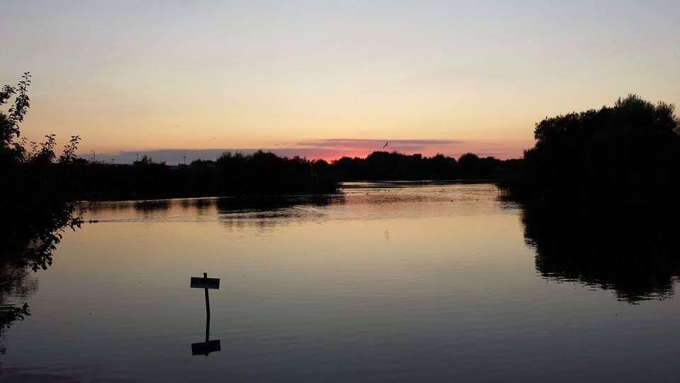 brickfield pond