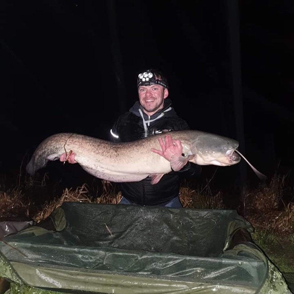 catfish