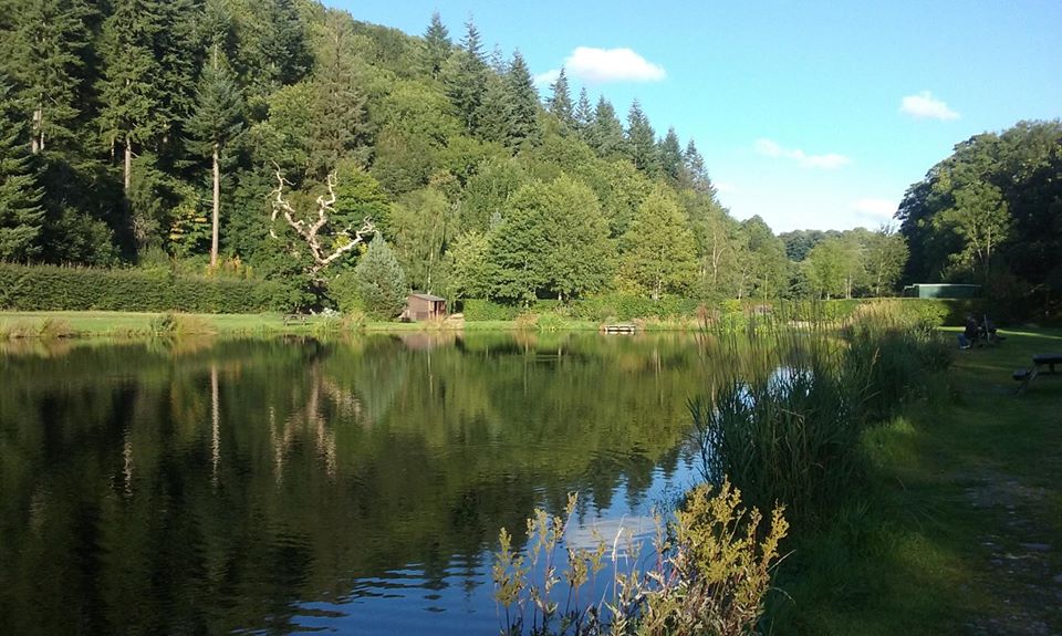 chirk trout fishery