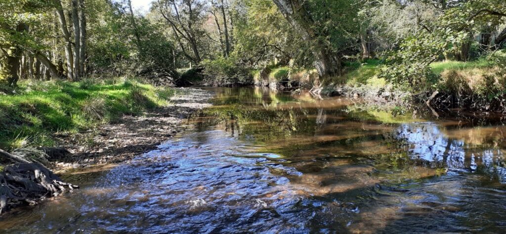 clywedog river