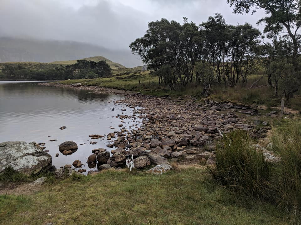 cregennan lakes fishing