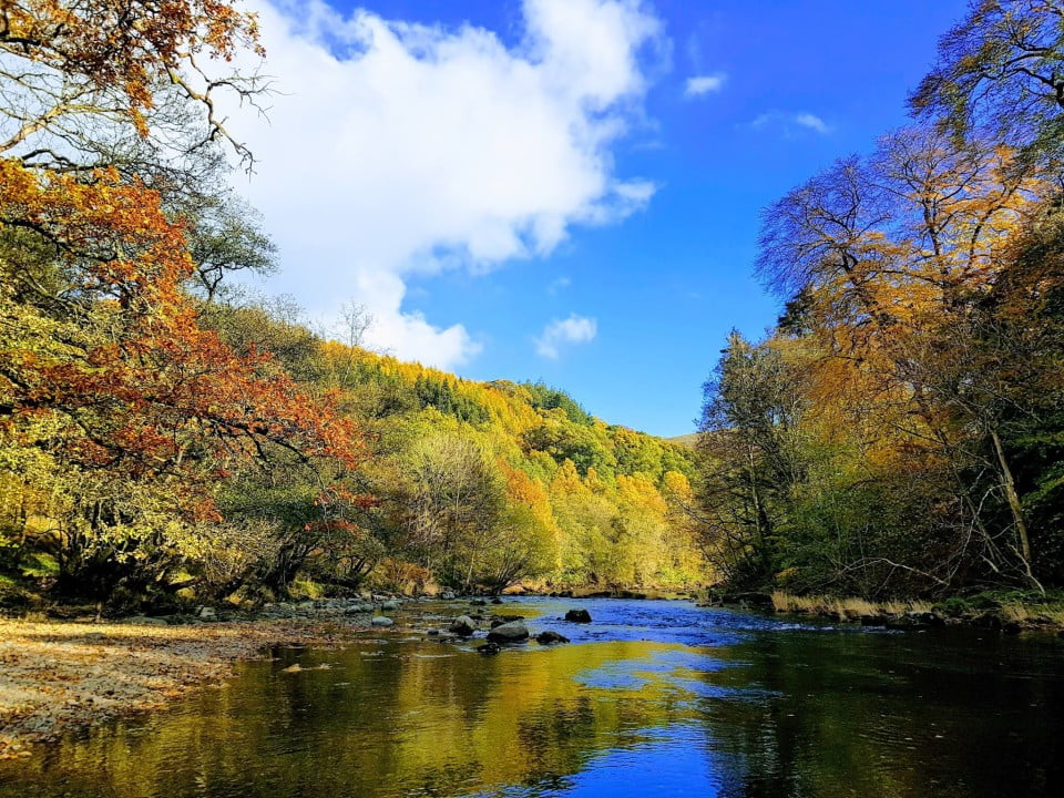 doldowlod river wye
