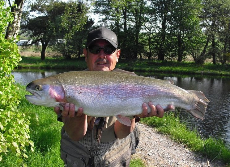 dragonfly trout fishery