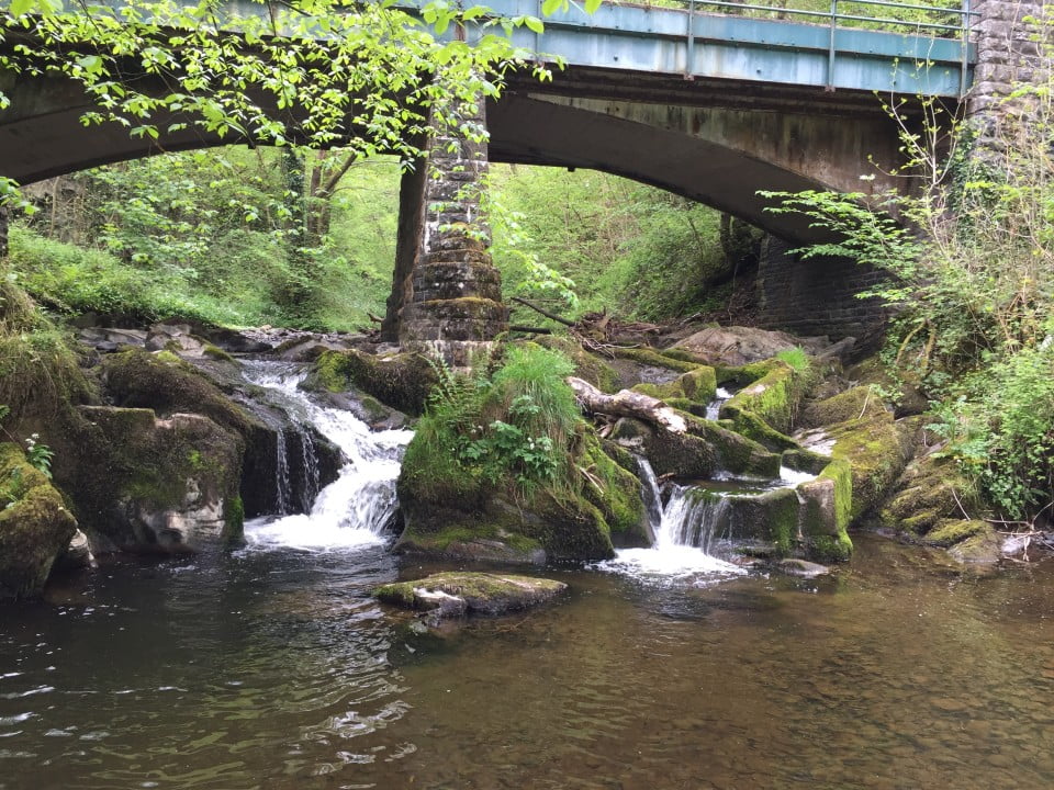 duhonw fishing river