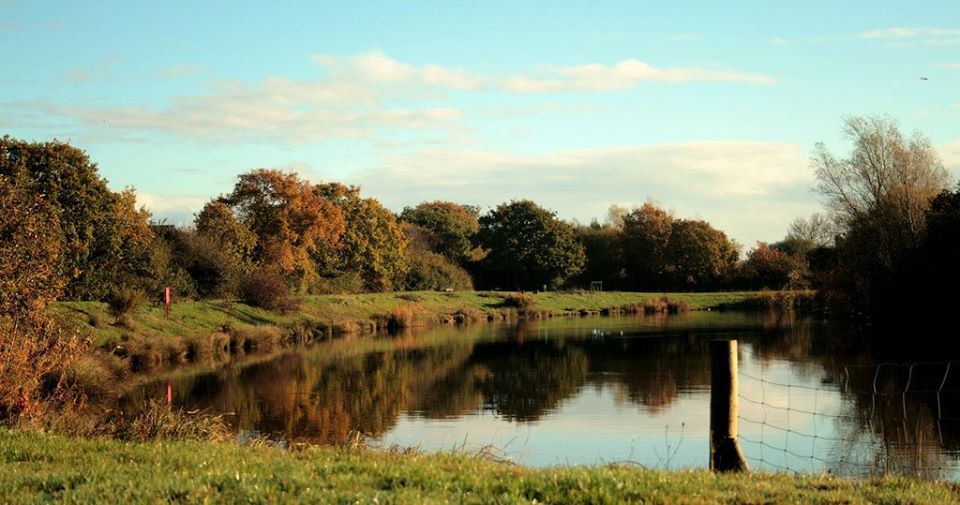 hendre lake newport