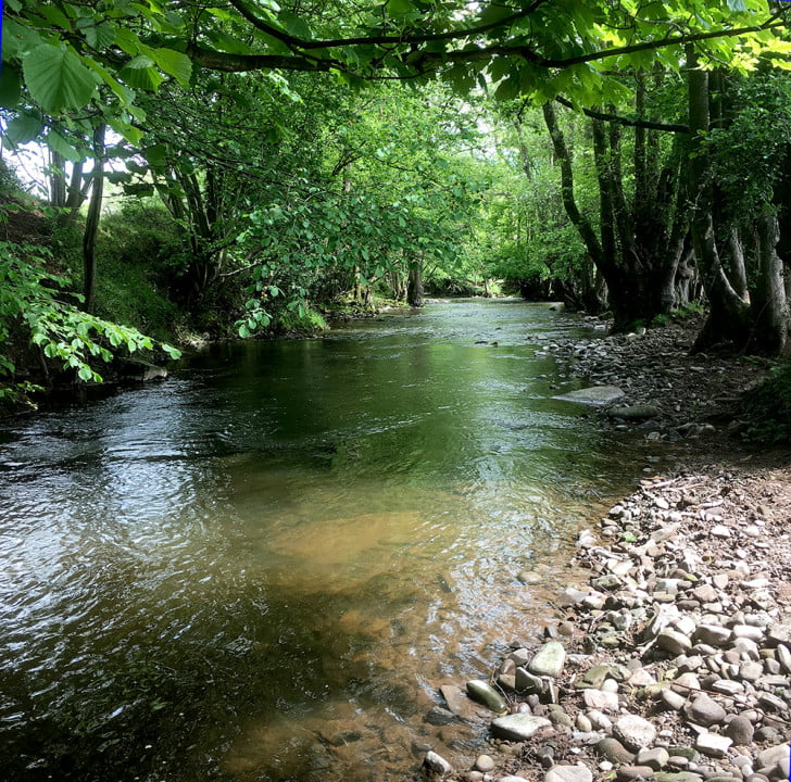 The Fishing Passport: River Honddu (Pandy) - Fishing in Wales