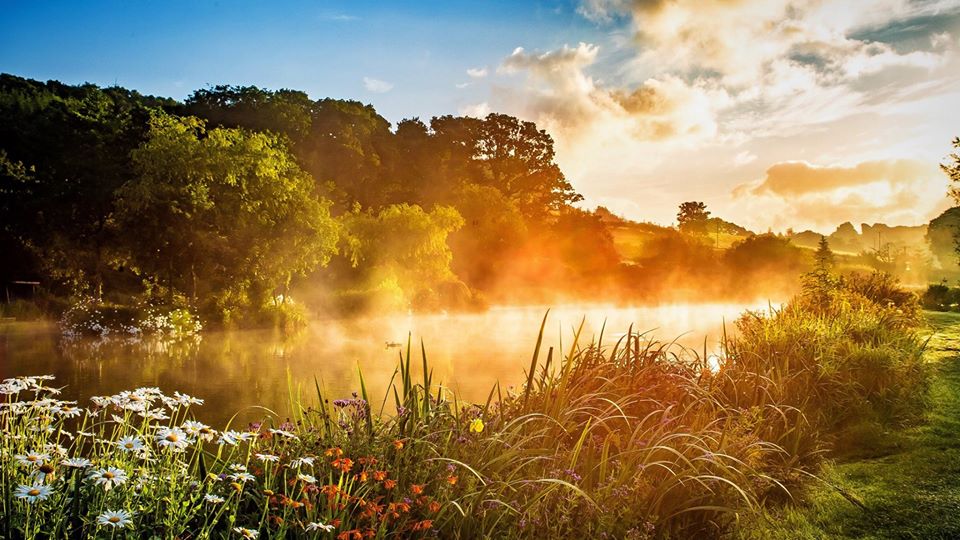 ian heaps coarse fishing