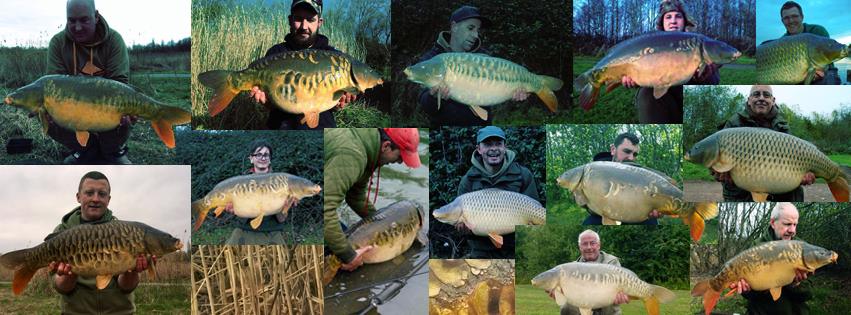 lamby lake carp