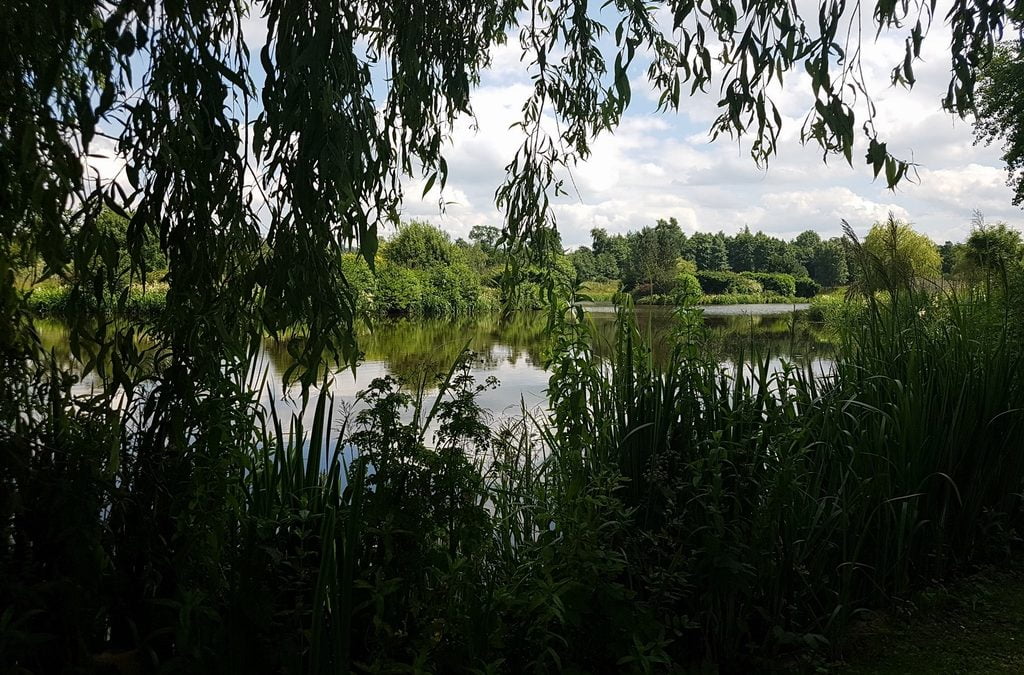 llanarth fishery