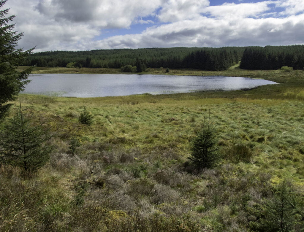 llyn Coch Hwyad