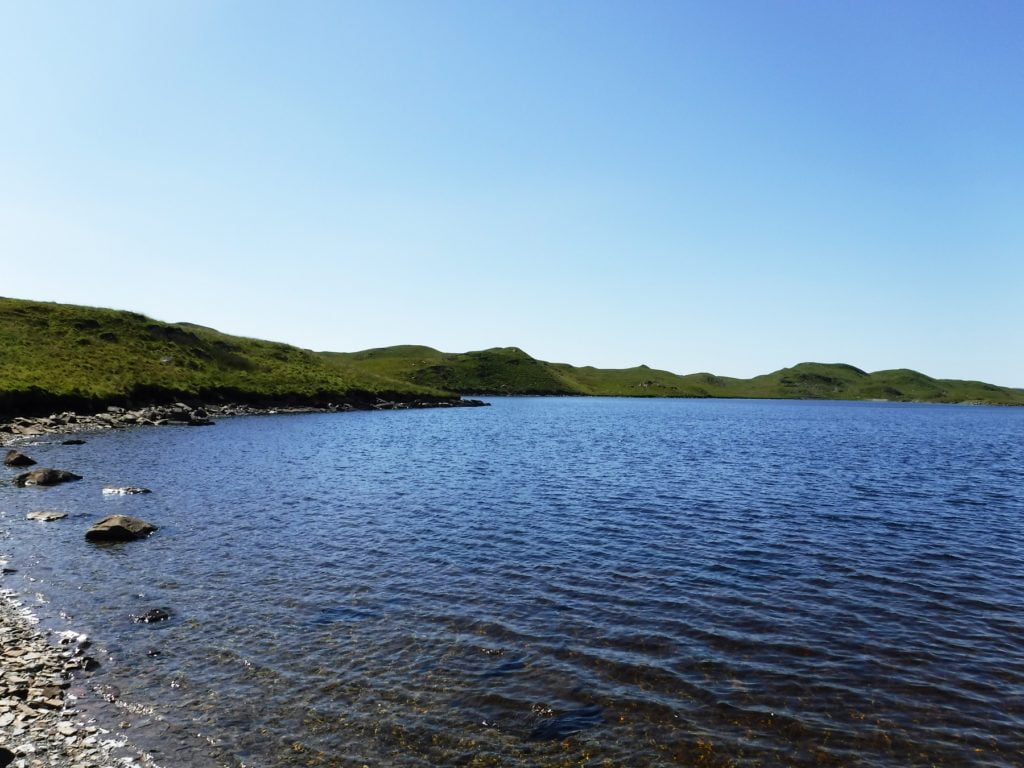 llyn Teifi fishing