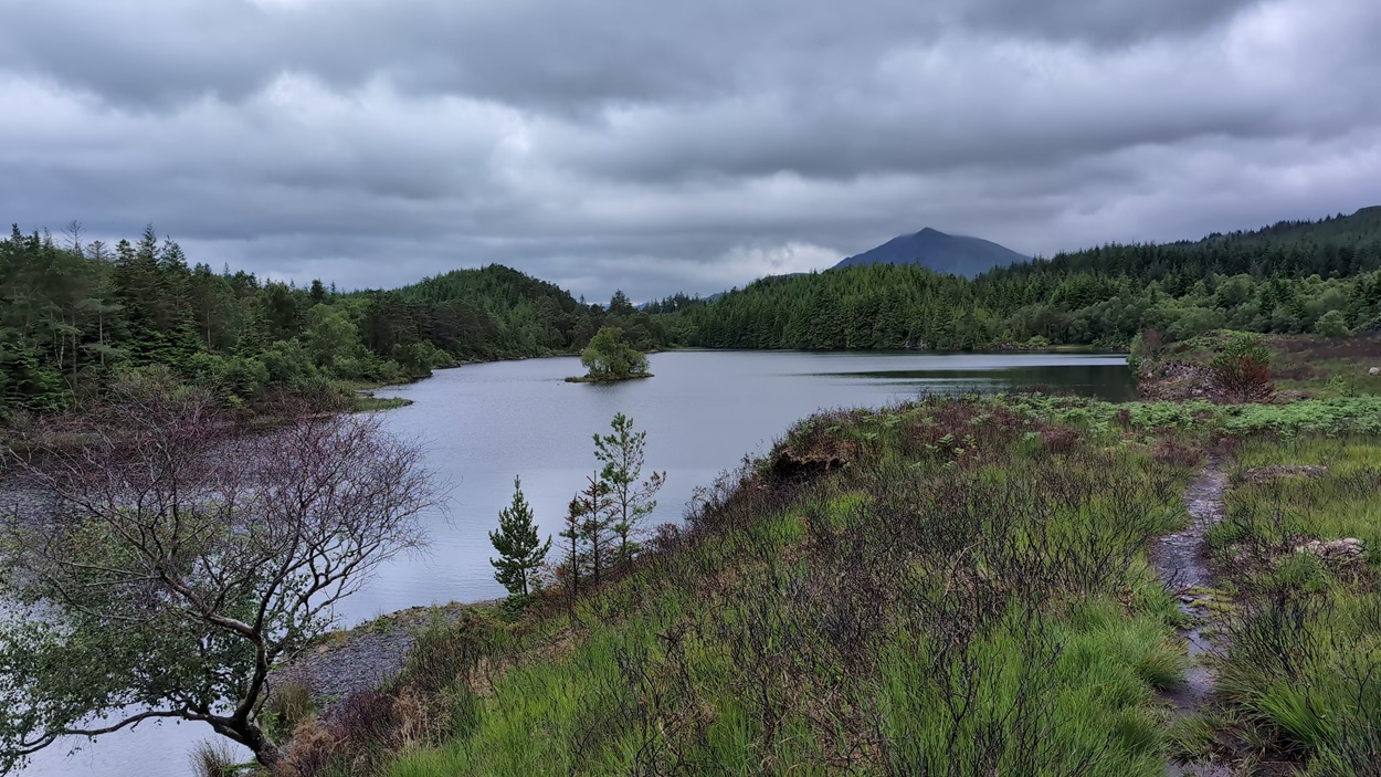 llyn bod fishing