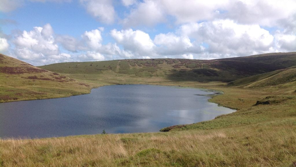 llyn bugeilyn fly fishing