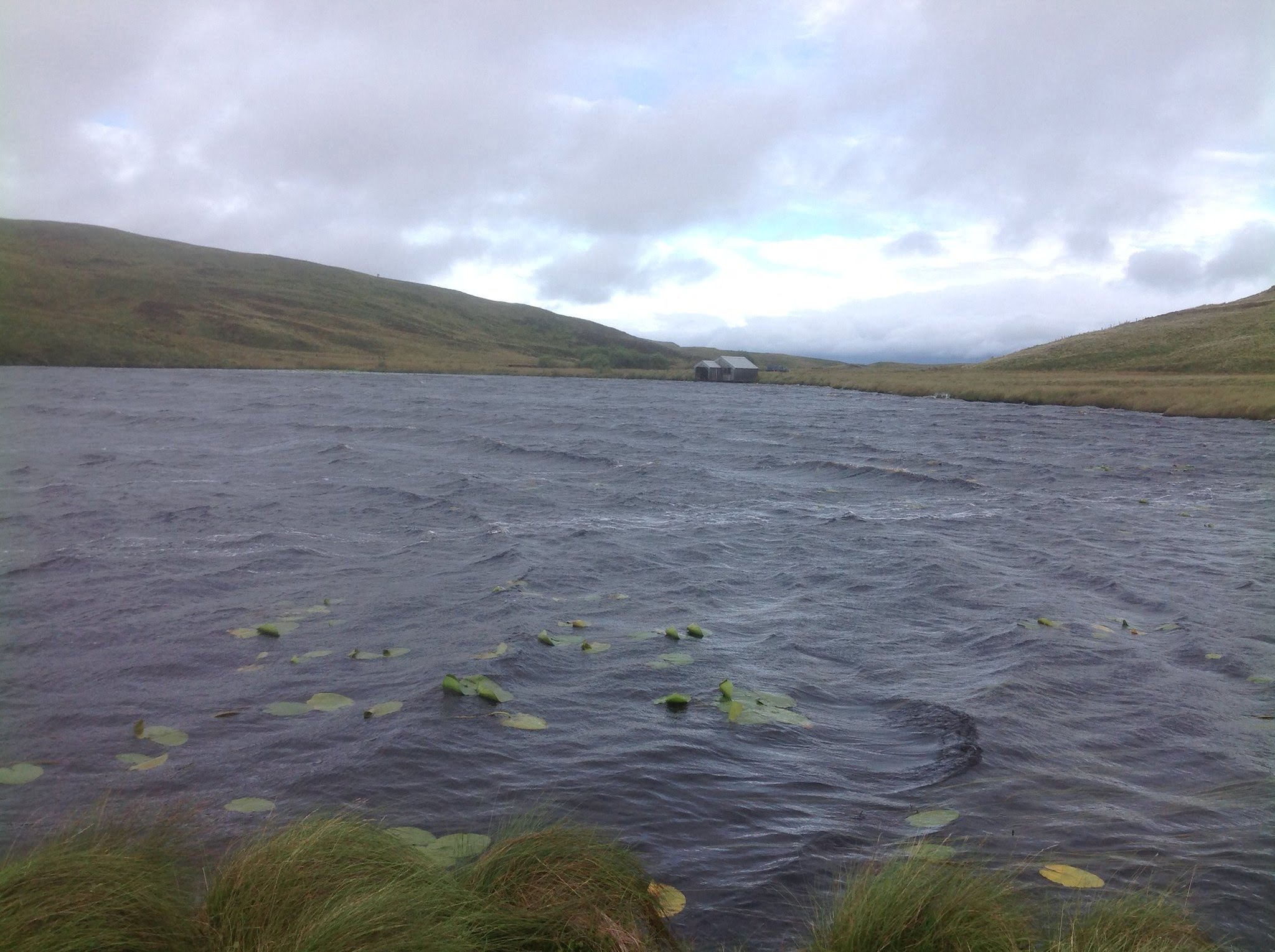 llyn bugeilyn trout fishing