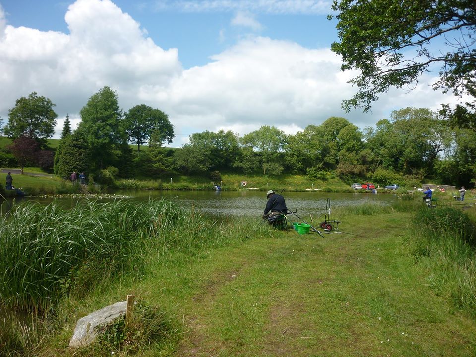 llyn carfan