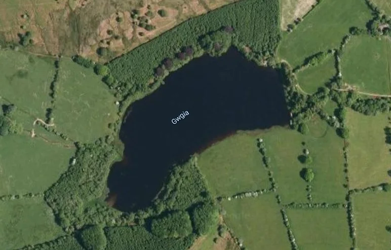 llyn gwigia fly fishing