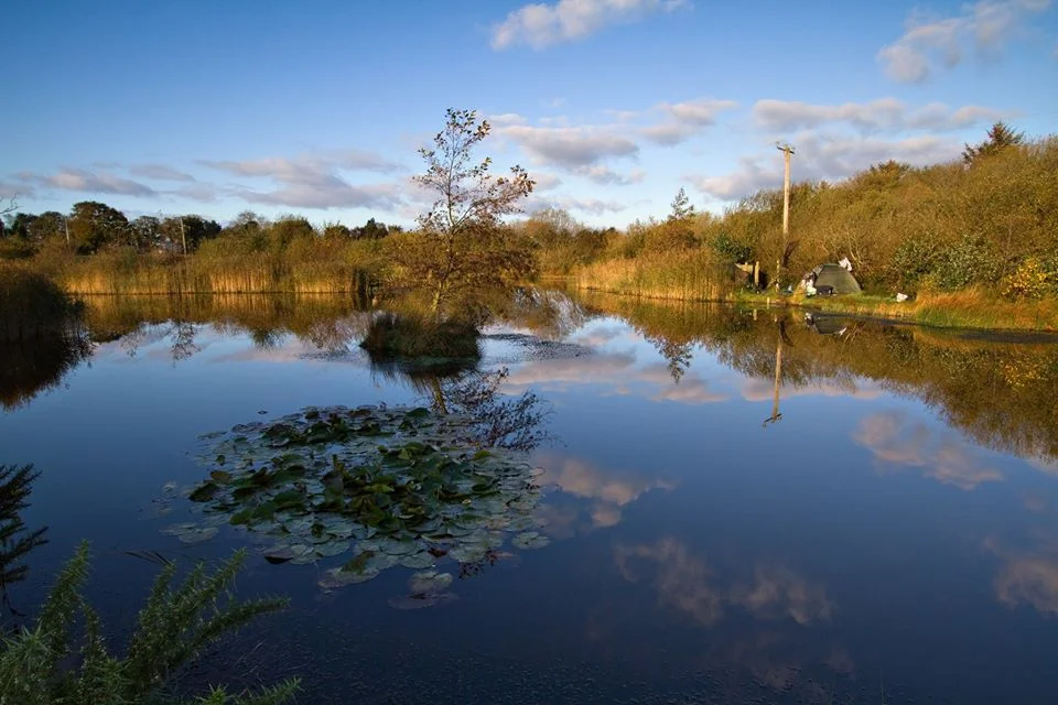 llyn y gors
