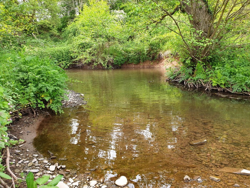 llynfi dulais fishing