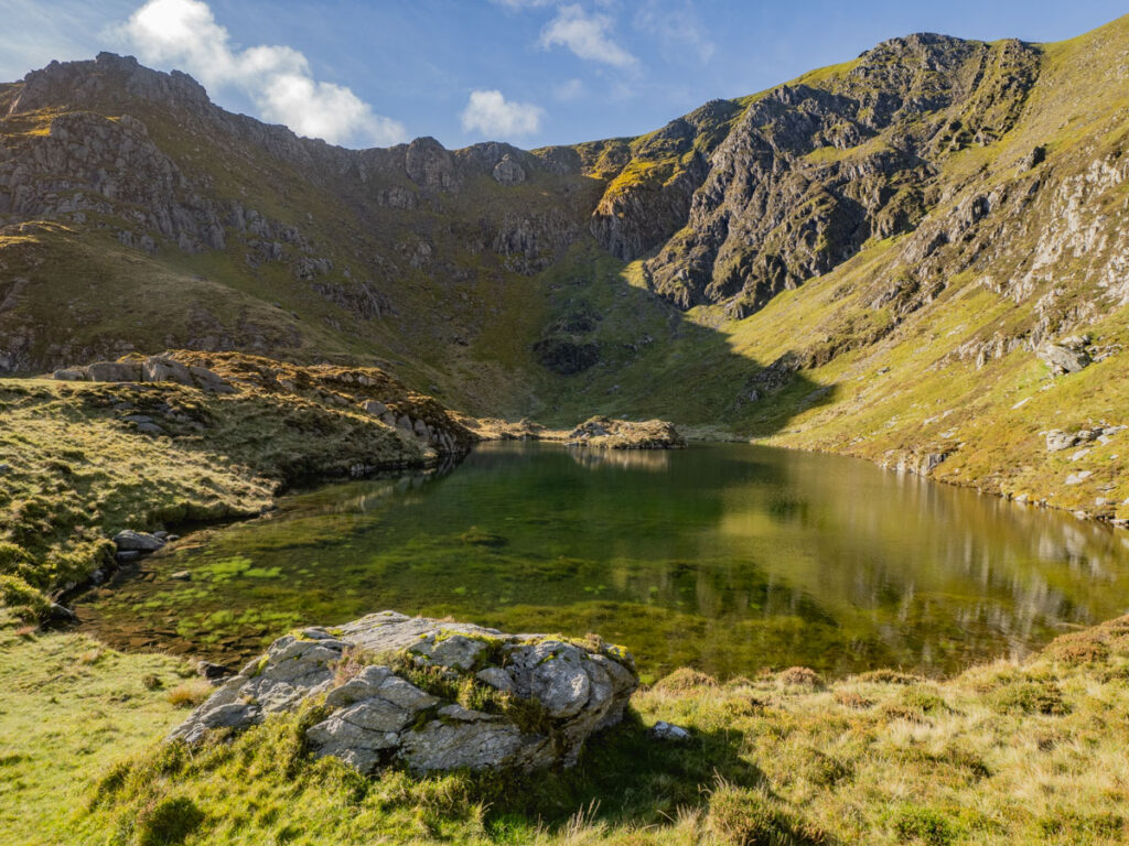 llyn clyd fishing