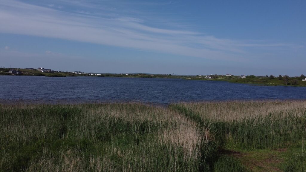 llyn maelog day ticket venue Anglesey