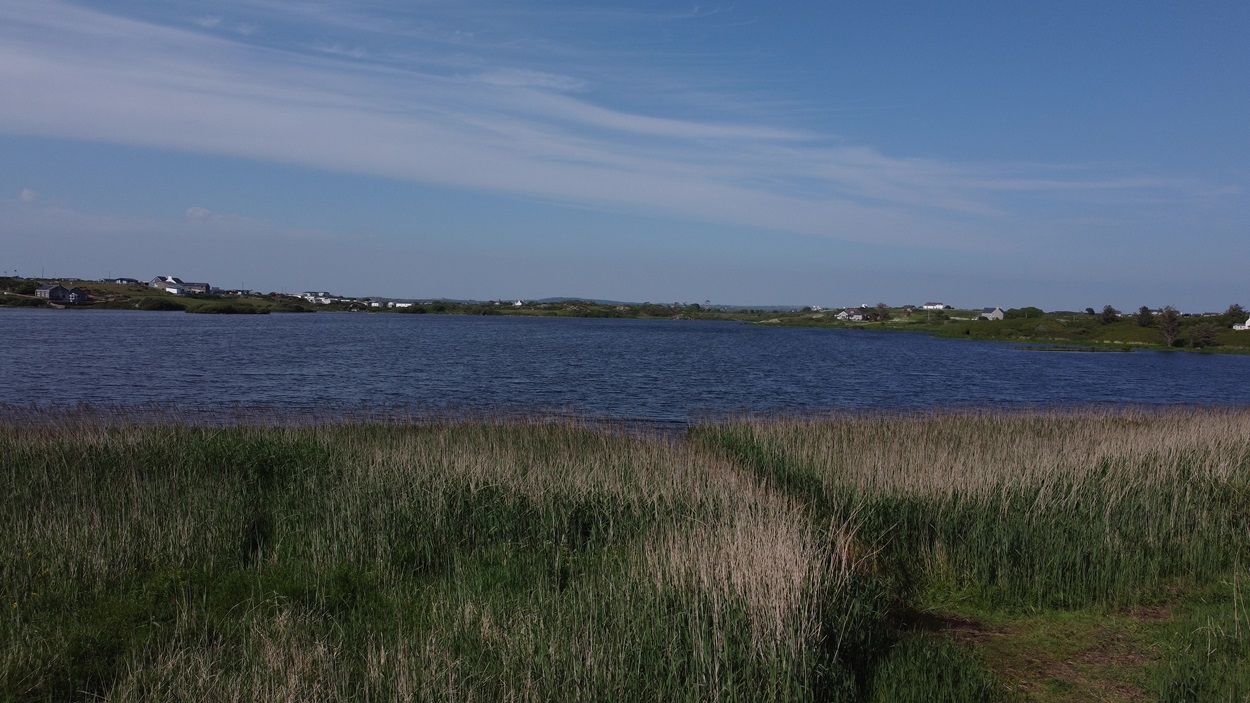 llyn maelog day ticket venue Anglesey
