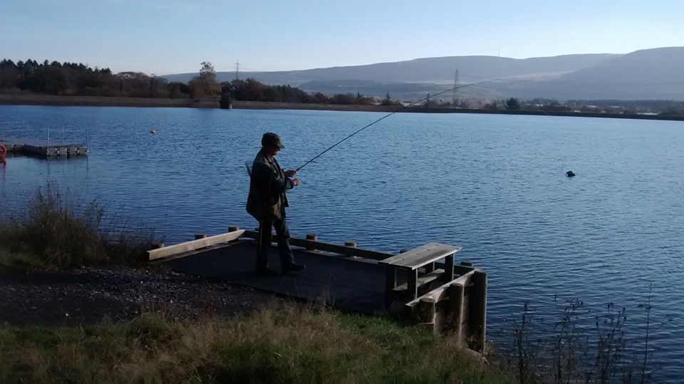 mountain ash fly fishers