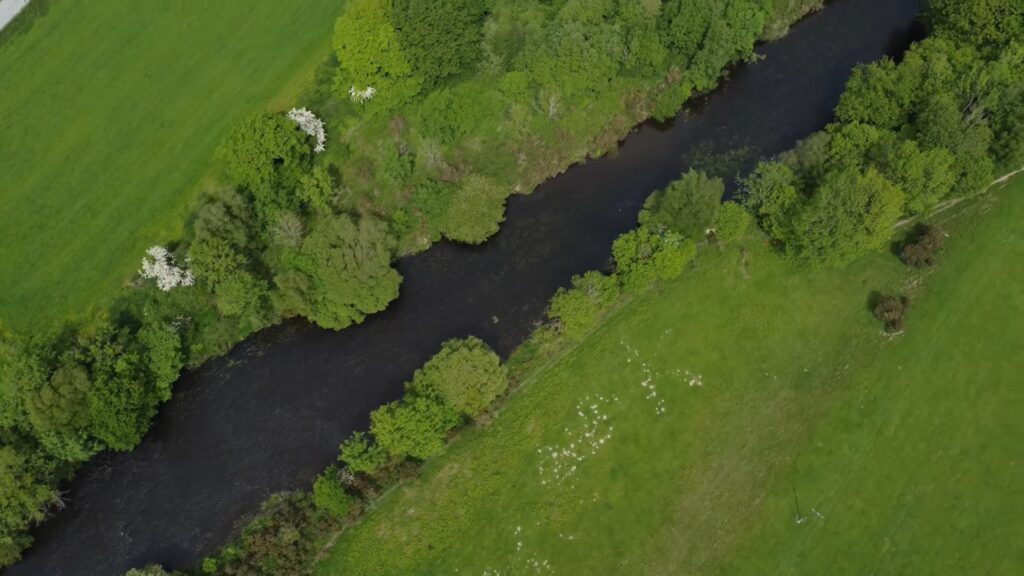 river rheidol fishing