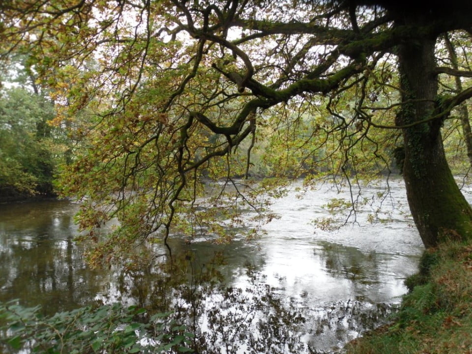 river irfon trout fishing