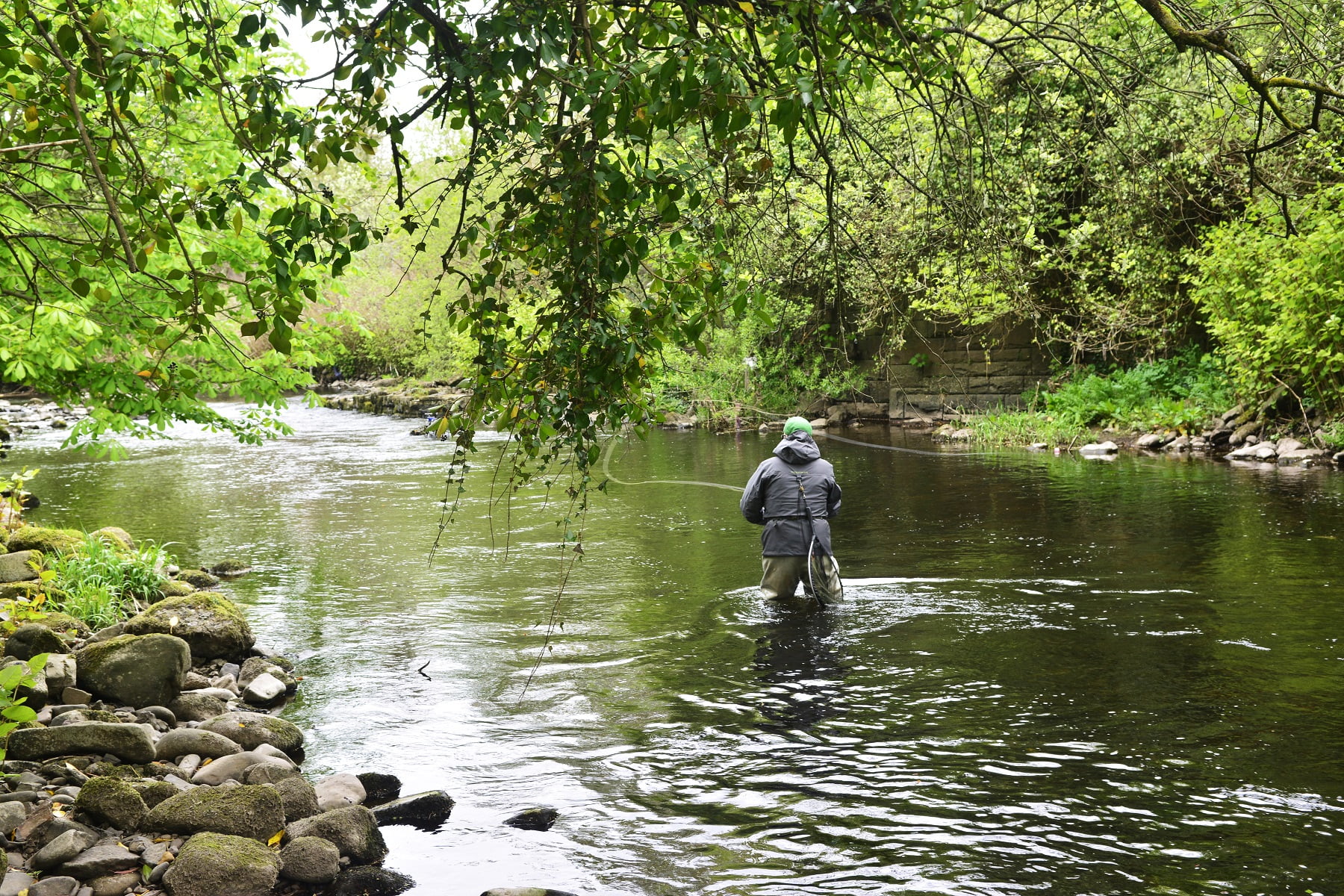 Merthyr Tydfil Angling Association River Taff Fishing in Wales