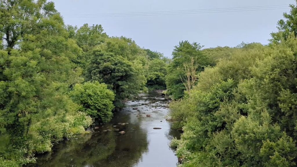 seiont river fishing