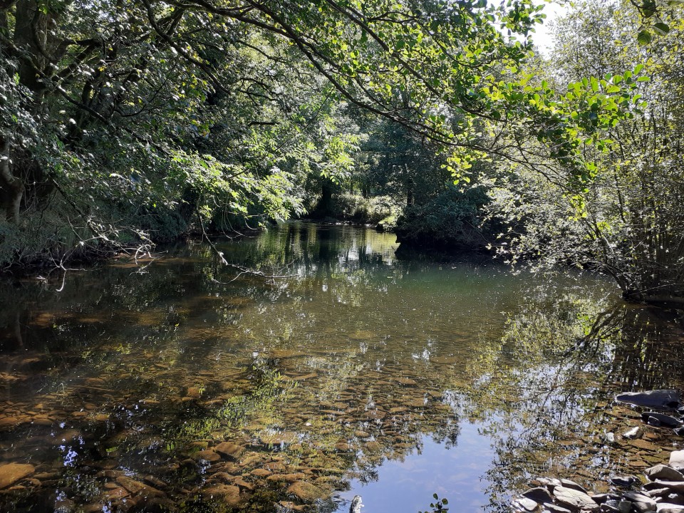 afon senni