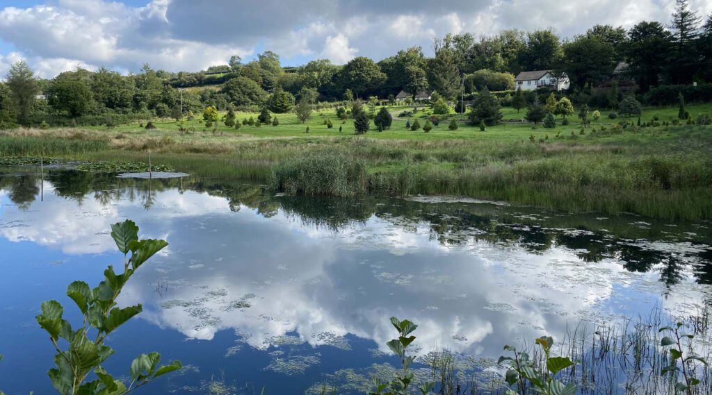 Danfforddgar farm fishing