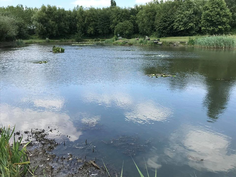 spytty pond fishing newport