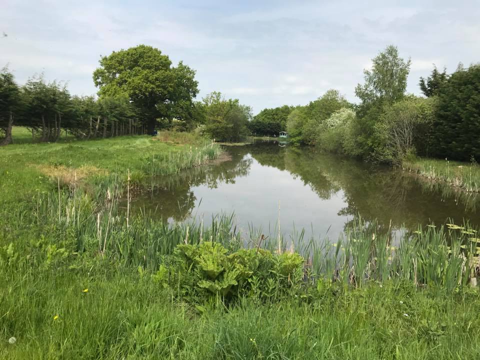 trench farm fishery