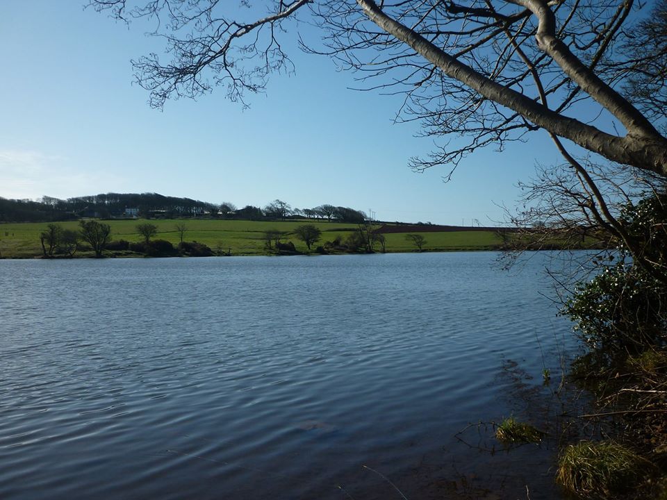 west orielton farm